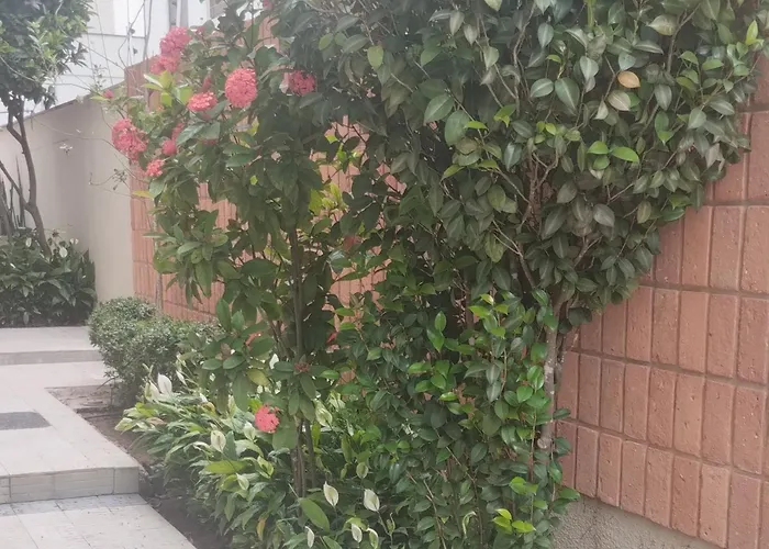Apartamento Dias De Sol Guarujá